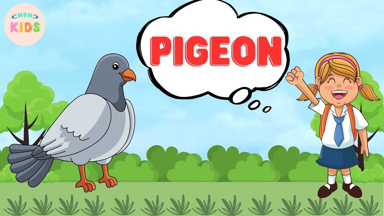 Pigeon Facts For Kids 🕊️ Learn All About Pigeons | MON Kids