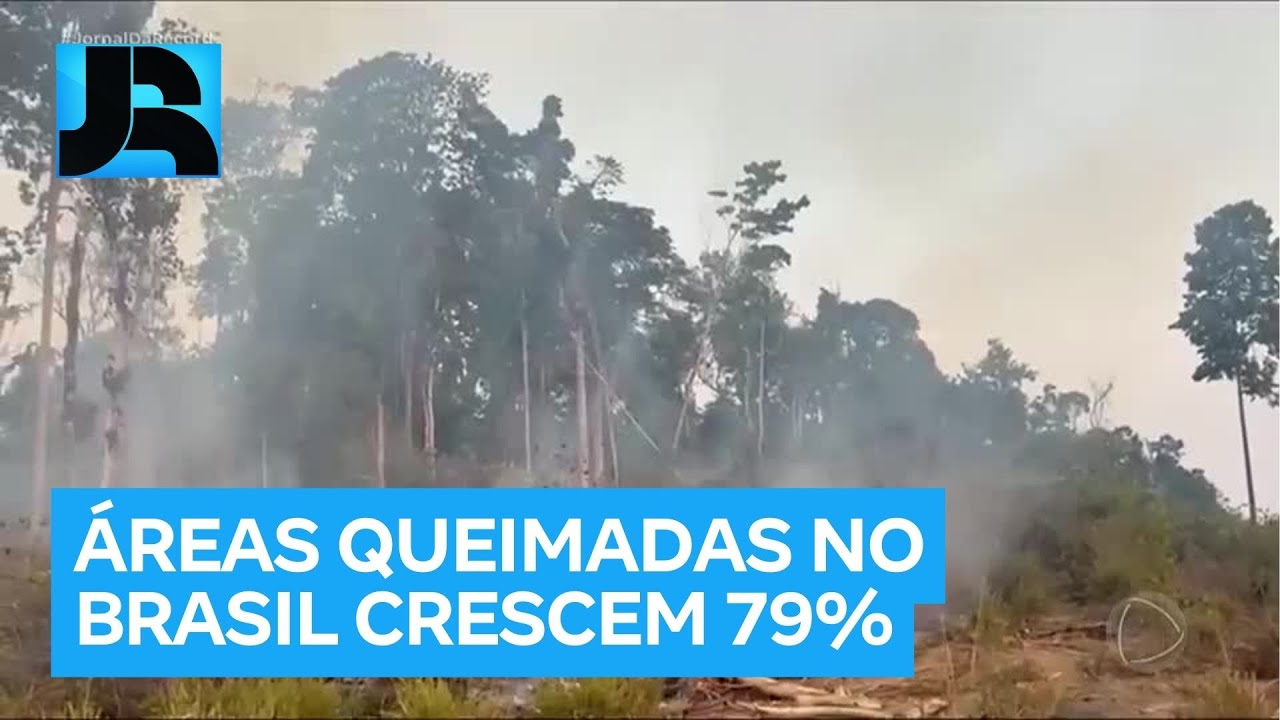 &Aacute;reas queimadas no Brasil cresceram 79% em 2024, aponta Monitor do Fogo do MapBioma