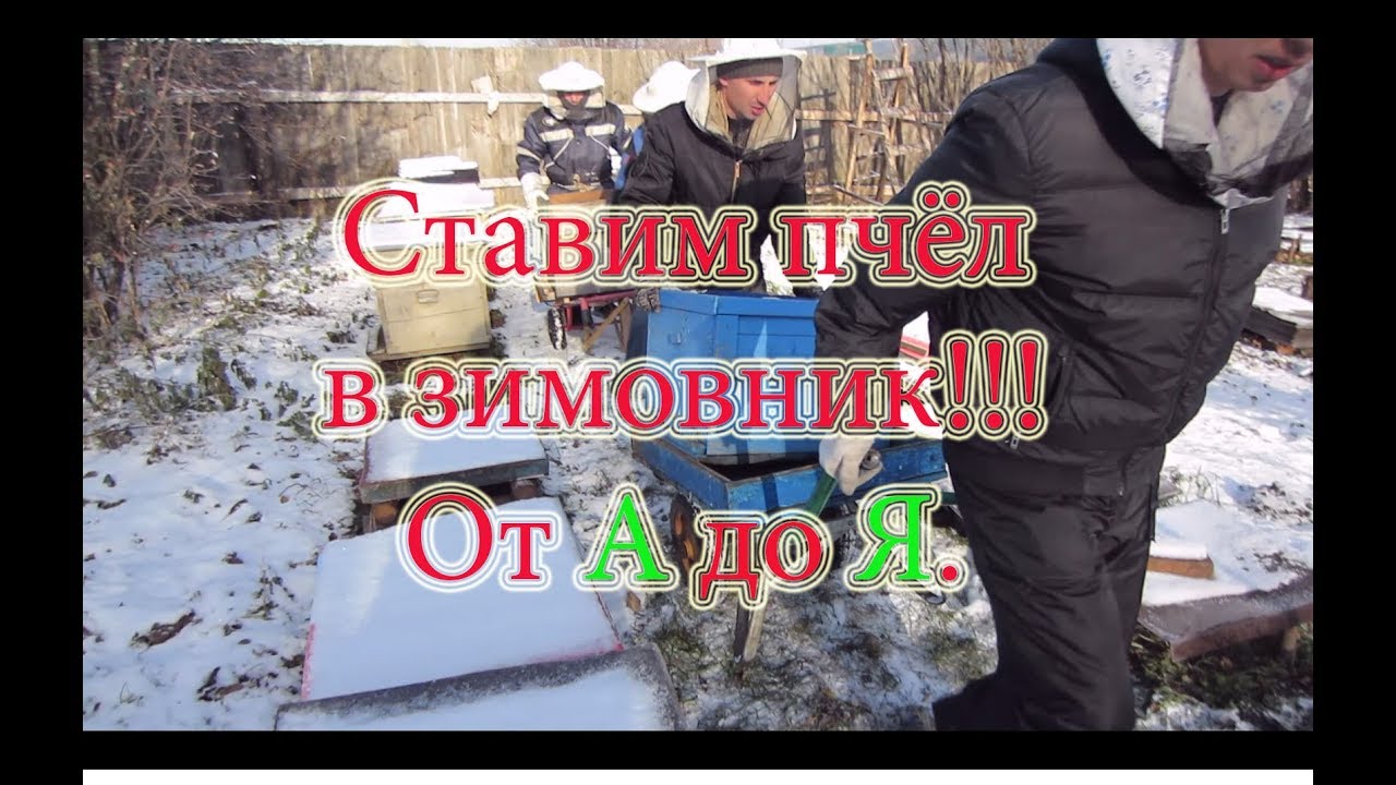 ПРОСТЕЙШИЙ СПОСОБ!!!ПОСТАНОВКА ПЧЕЛОСЕМЕЙ В ЗИМОВНИК, от А до Я и КАК МЫ ЭТО ДЕЛАЕМ???🔥🔥🔥