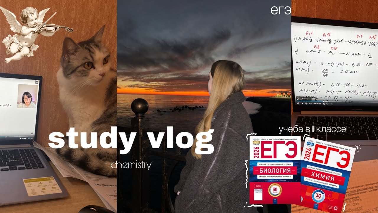 study with me // подготовка к егэ & будни в 11 классе