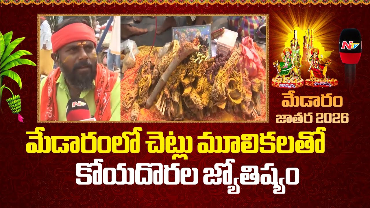 Medaram Samakka Sarakka Jatara 2026: మేడారంలో ప్రత్యేక ఆకర్షణగా నిలుస్తున్నకోయదొరలు | NTV Telugu