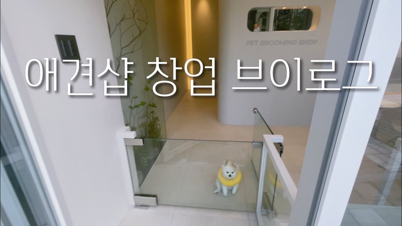 7평 소형 상가 인테리어 애견미용사VLOG