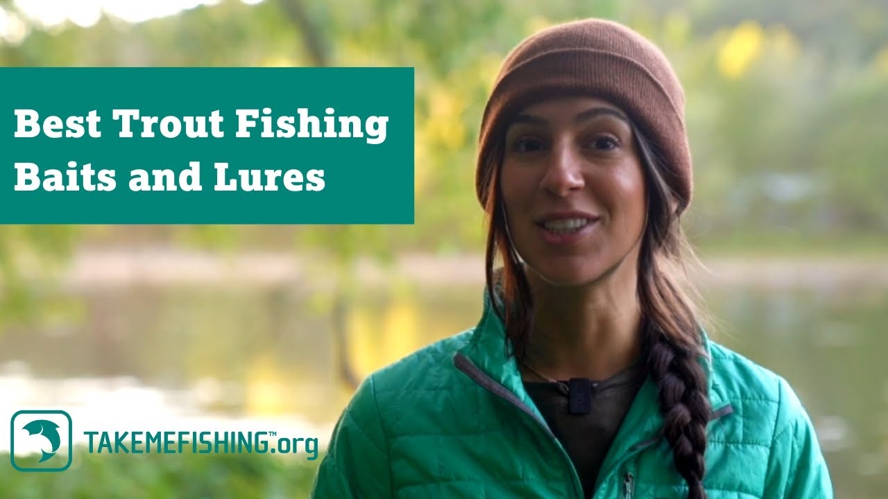 Best Trout Fishing Baits and Lures
