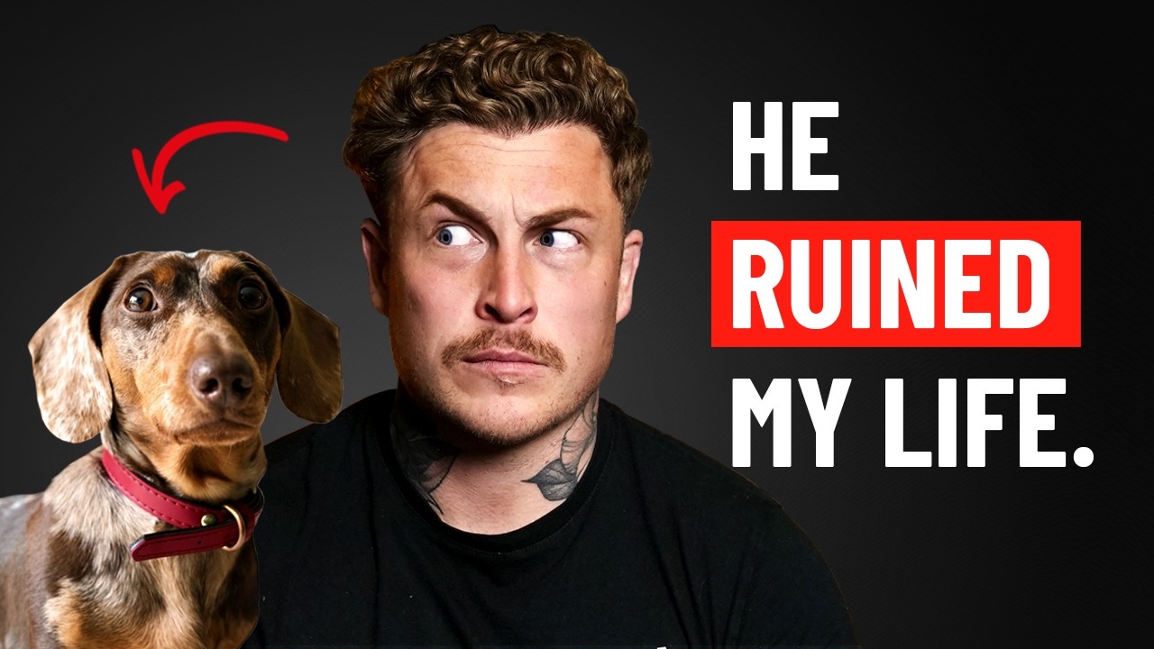 I Adopted a Reactive Sausage Dog: Here's What I Learned