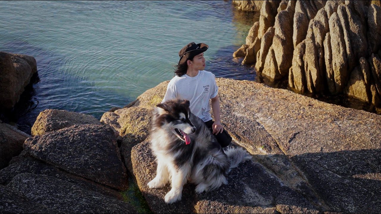 Walk on the Korean beach with my fur family