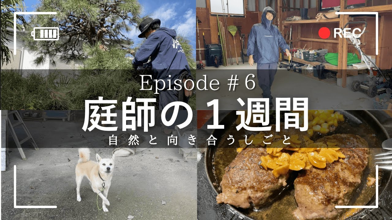 【庭師Vlog】色んな現場周れる時期。1週間のダイジェスト #６〔2025.10/17〜〕