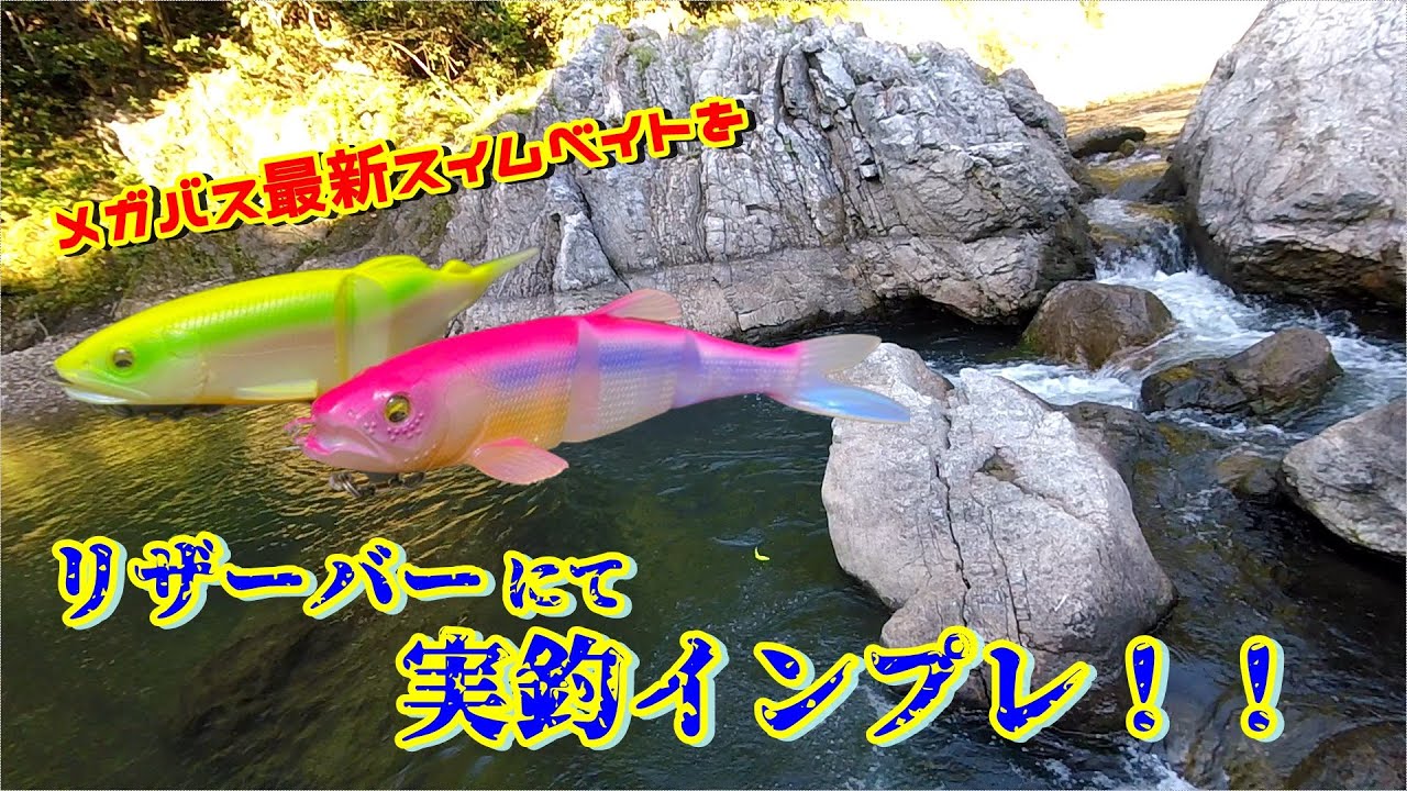 【メガバス】多関節スイムベイト？釣れるに決まってるやん！【アユトゥイッチャー ハスレイバー インプレ】