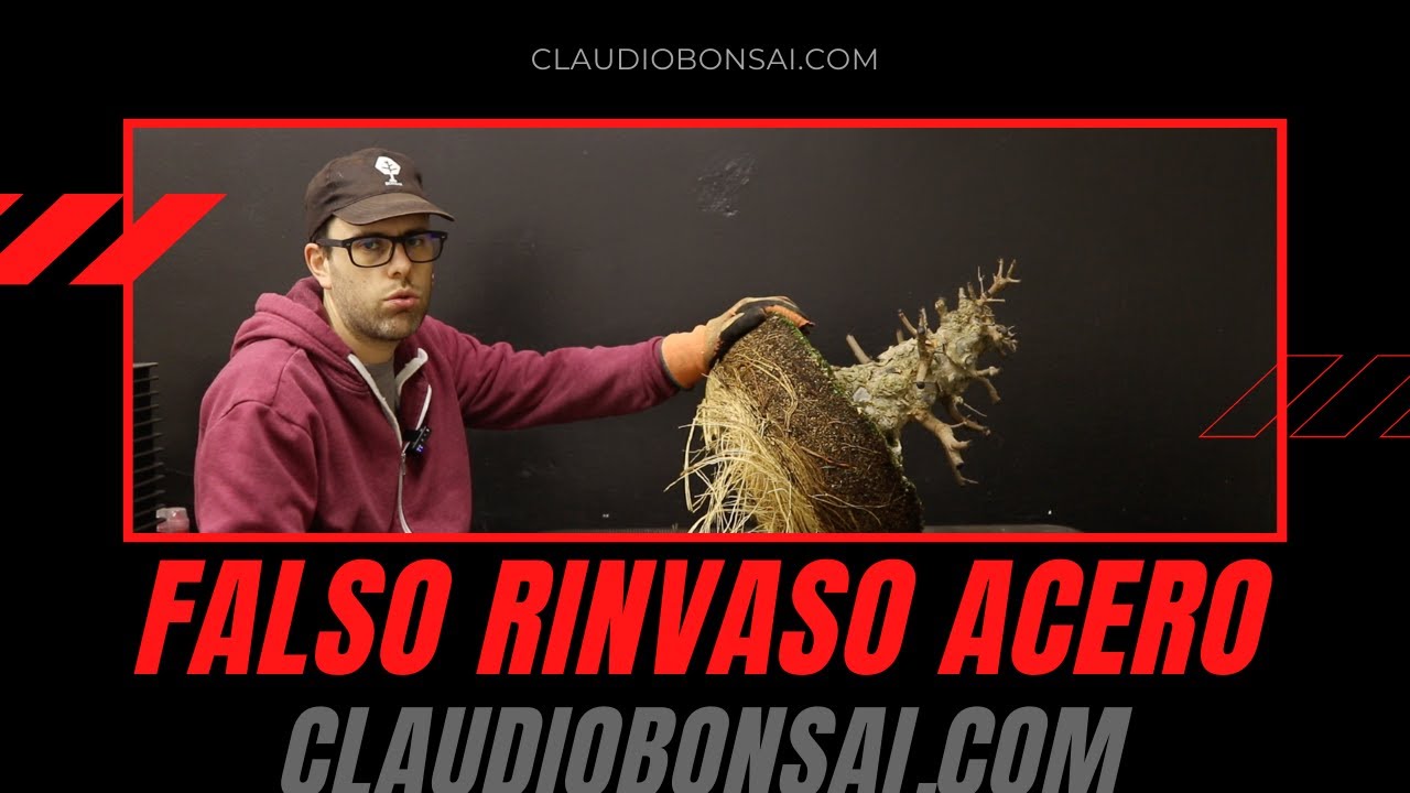FALSO RINVASO ACERO TRIDENTE 2022