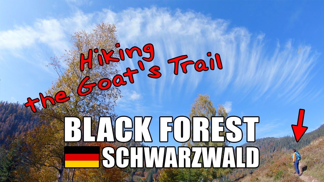 Menzenschwander Geißenpfad, BLACK FOREST
