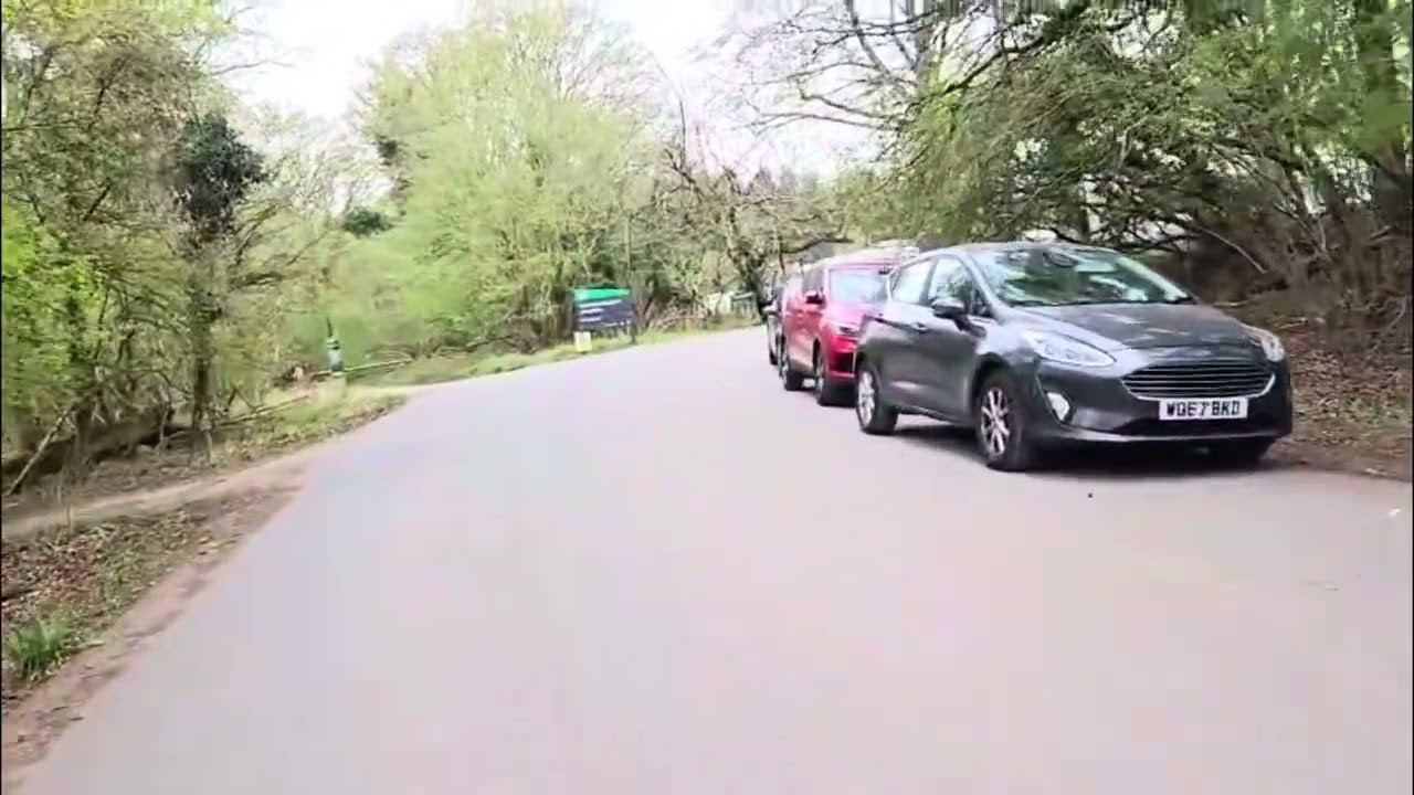 Bracelands campsite review Forest of Dean