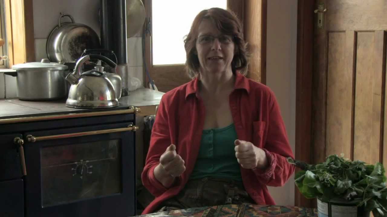 Urban Permaculture Family (towards self-reliance in energy and food)