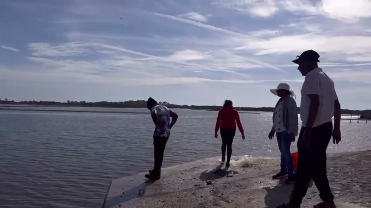 Catching ￼ some nice big mullet in Cedar keys