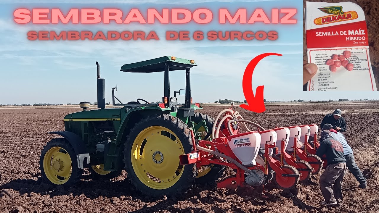John Deere 6603 sembrando maíz / Sembradora Gaspardo de 6 surcos.