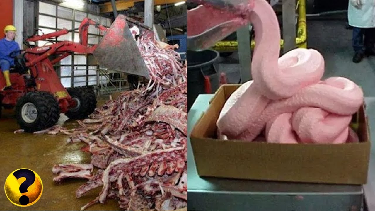 11 SEGREDOS QUE A INDUSTRIA ALIMENTÍCIA NÃO QUER QUE VOCÊ SAIBA