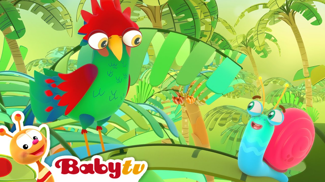 Hvor Gror Bananer? 🍌 Papegøjer & Farver | På tur med hr. Snegl @BabyTVDAN