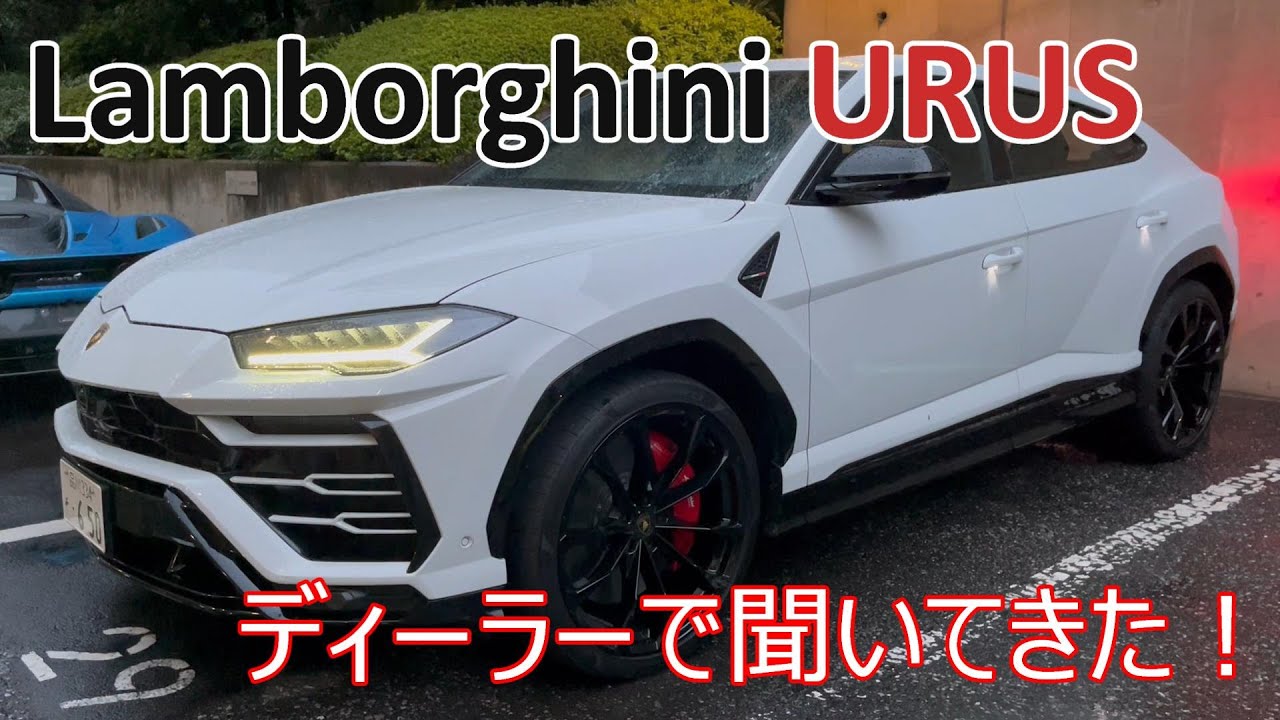 ランボルギーニ・ウルス　ディーラーで色々聞いてきた！ / Visited Car dealer to learn Lamborghini URUS !