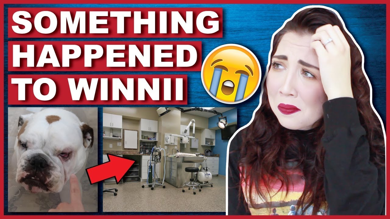 Something Happened To Winnii And We Need To Talk About It | Storytime