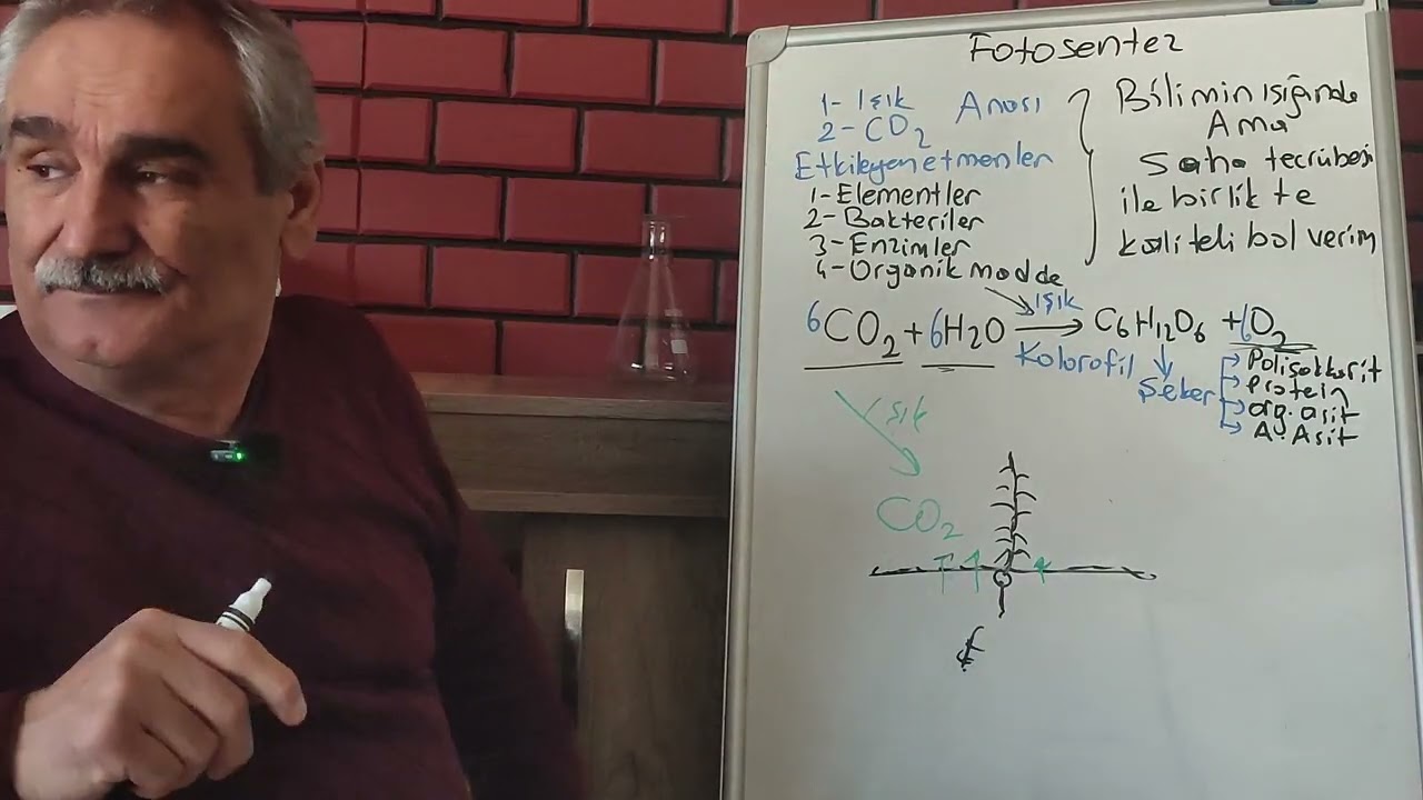 FOTOSENTEZ