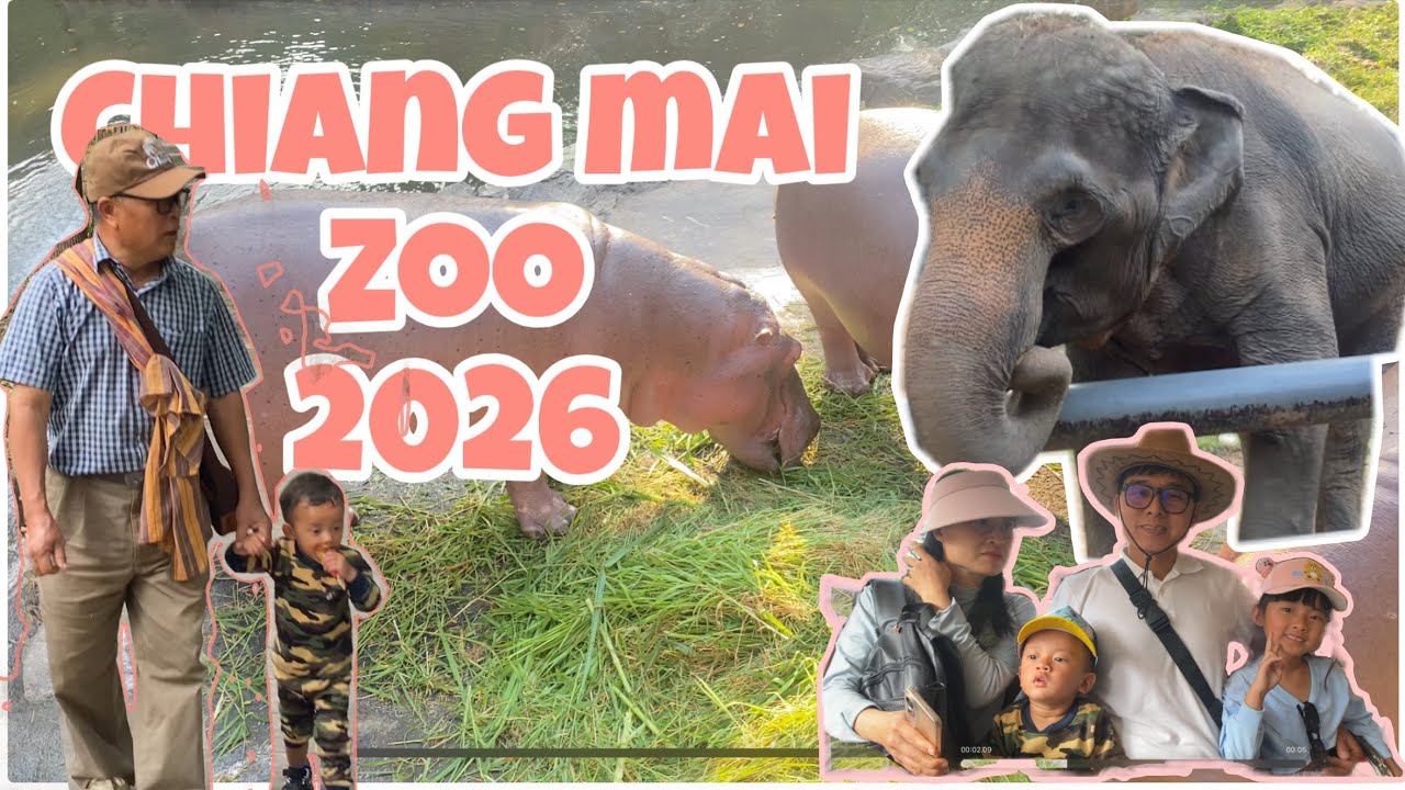 1 day Vlog in Chiang MaiZoo w/family//ไปเที่ยวสวนสัตว์เชียงใหม่กัน 🙊🐃🐰 #Chiangmaizoo