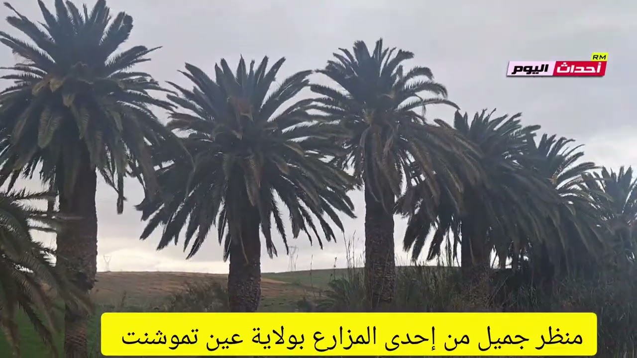 منظر طبيعي جميل من إحدى مزارع عين تموشنت 09~02~2026