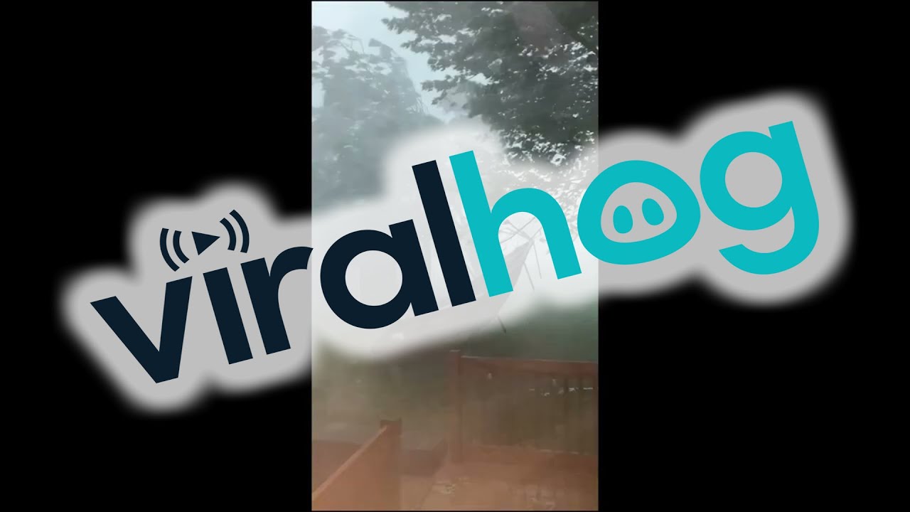 Wild Winds Trash Trampoline || ViralHog