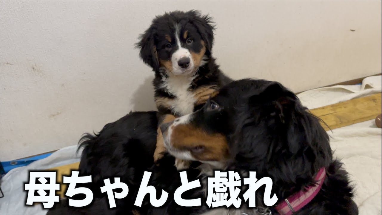 母と子の触れ合いタイム♪