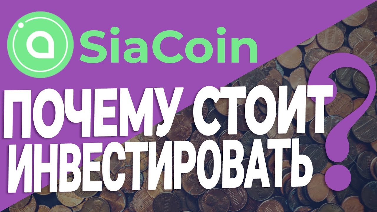 Обзор криптовалюты Siacoin. Почему стоит инвестировать в Сиакоин?