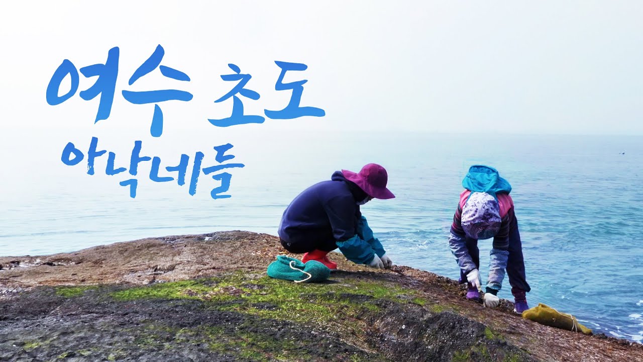 섬은 여자들이 일을 잘해! 내가 82살인데 손이 엄청 빨라 수영도 겁나게 잘하제 | 옛날에는 김 팔아서 자식들 학교 보내고 그걸로 생활 했어 #여수 #초도 #섬 #돈섬 #아낙