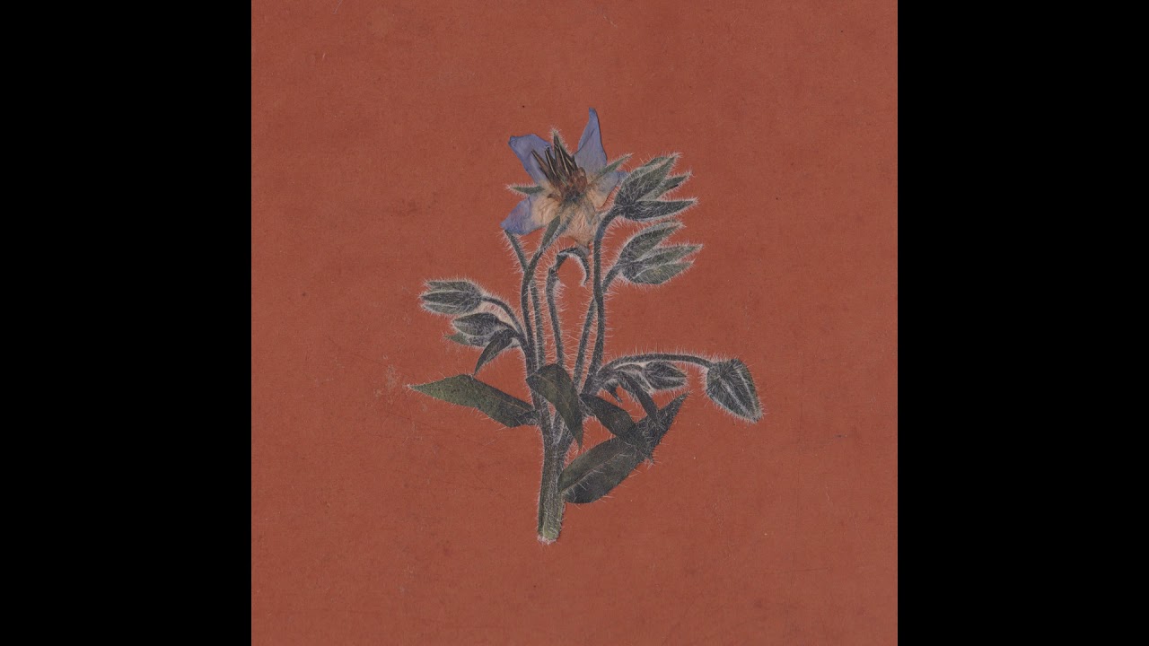 Flavien Berger - De la friche (full album)