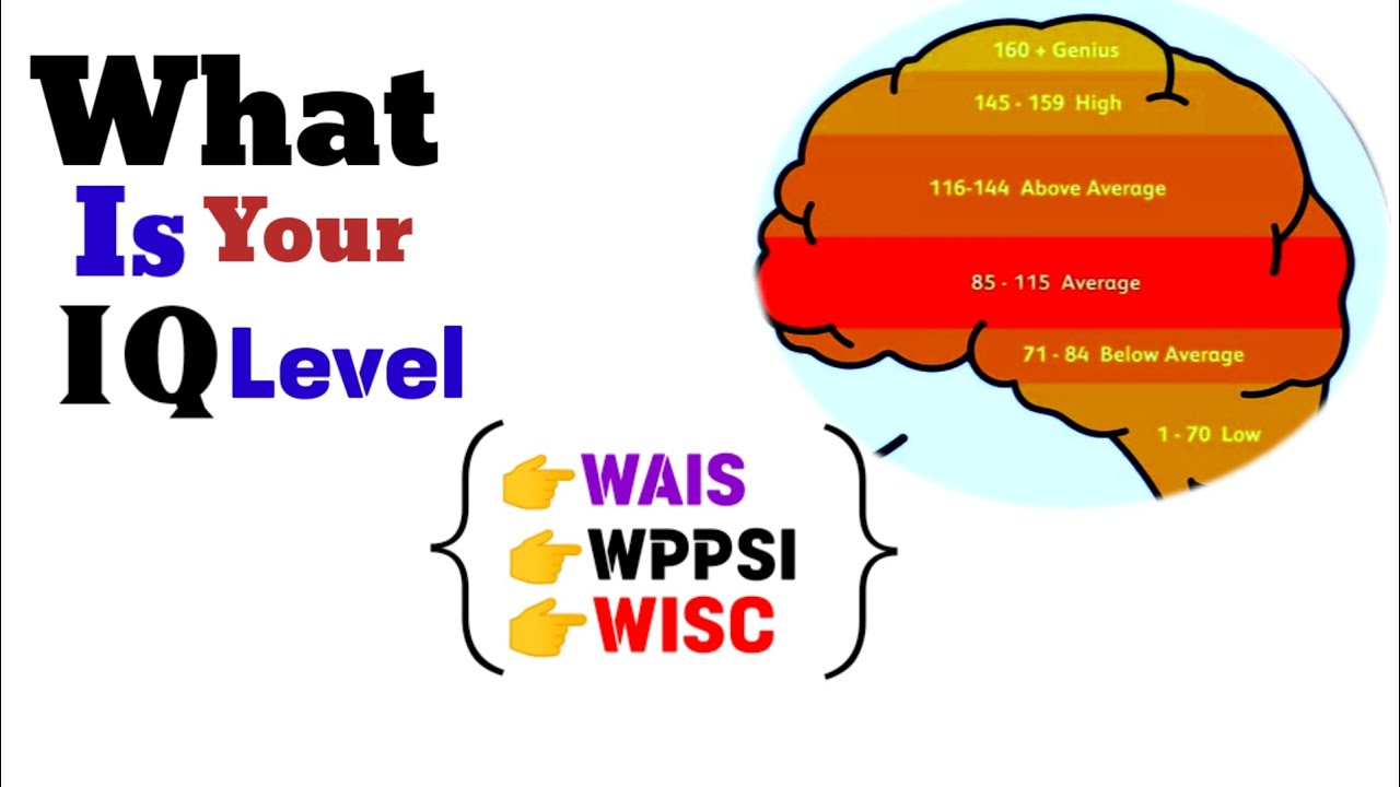 Wechsler Adult Intelligence Tests | WAIS | WPPSI | WISC