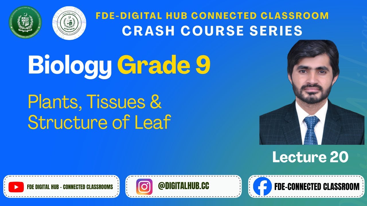 Plants, Tissues & Structure of Leaf | Biology | Grade 9 | Crash Course Series | FDE