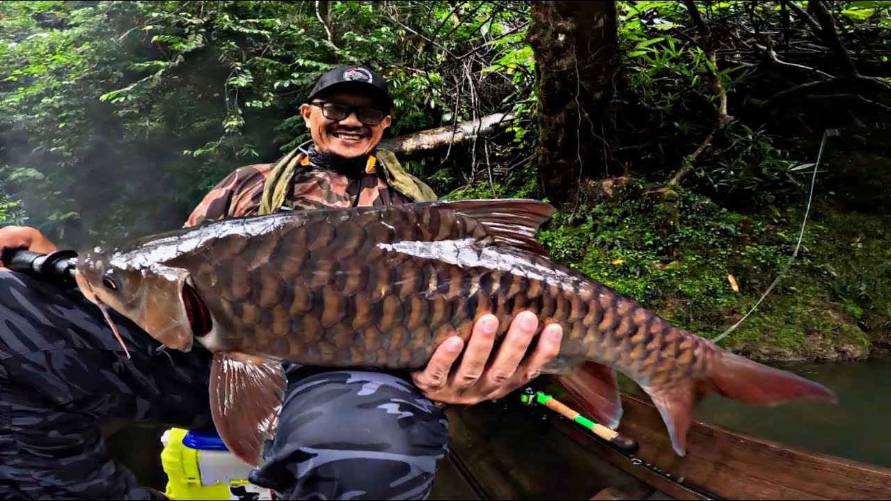 MANCING IKAN MAHSEER BESAR DI SUNGAI PEDALAMAN KALIMANTAN || DOUBLE STRIKE