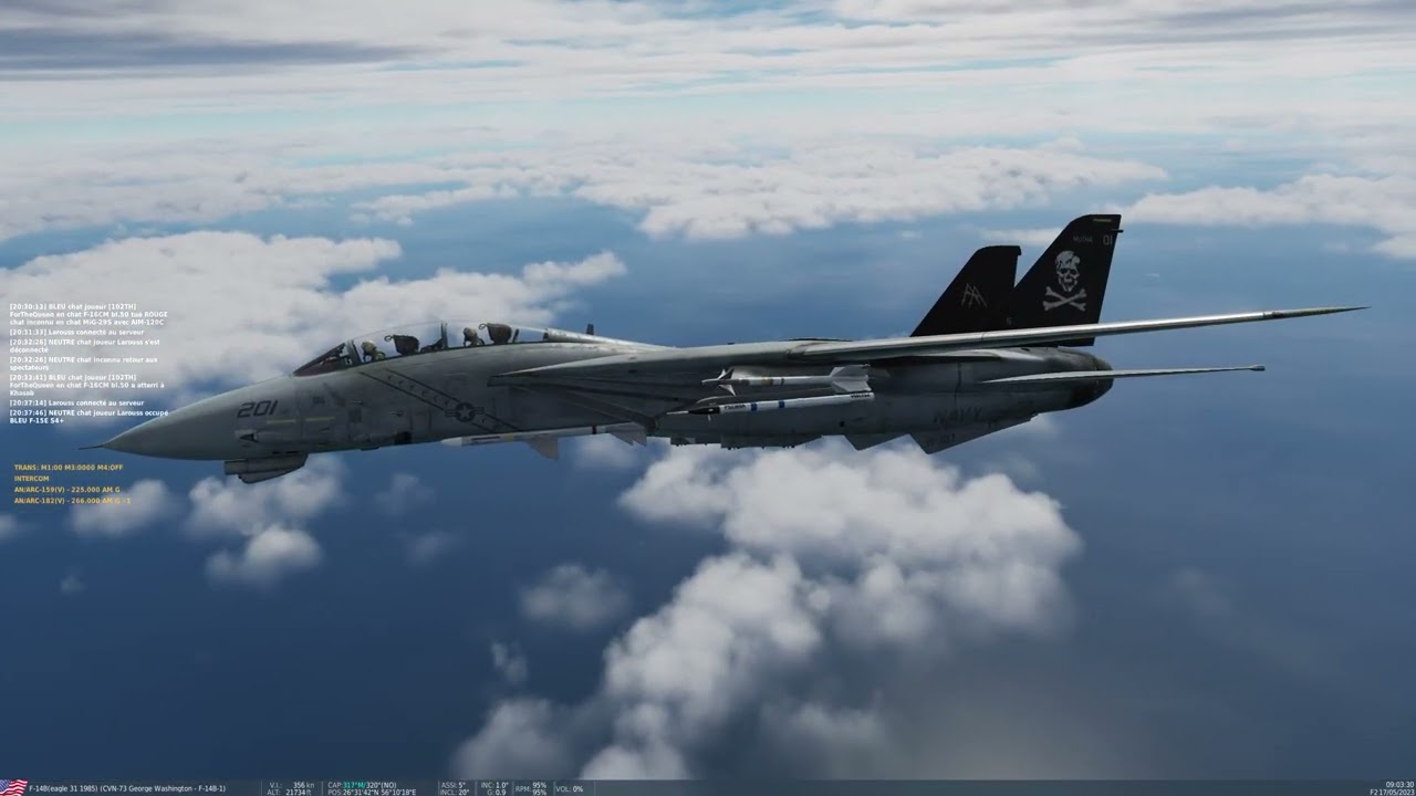 DCS world F14B prends ça dans la tronche !