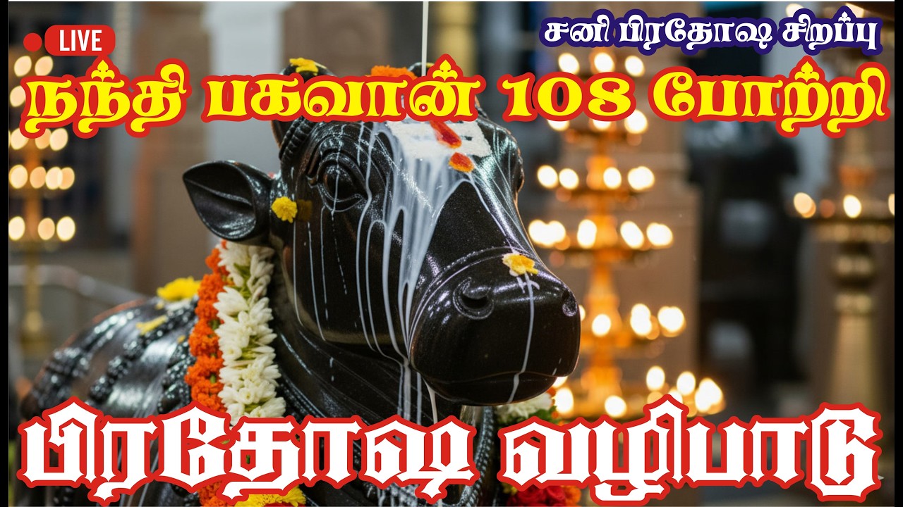 🔴 Live: பிரதோஷ சிறப்பு வழிபாடு | நந்தி பகவான் 108 போற்றி & அபிஷேகம் | Pradosham Live Today
