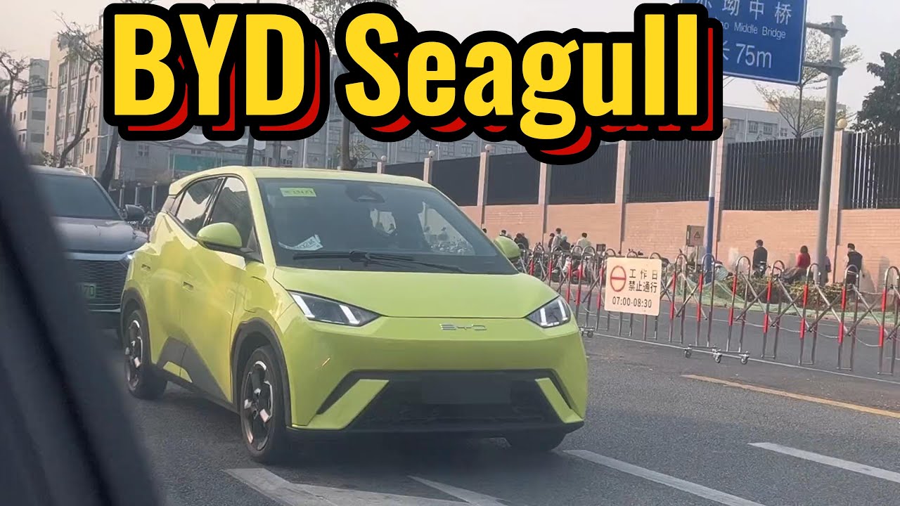 BYD Seagull Leaked! Under $9,000 for 301 km!