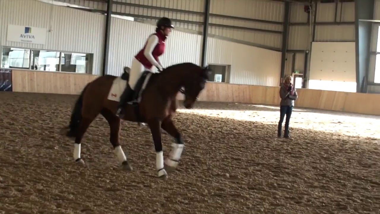 Ingrid Klimke Clinic 2015- Canter Work