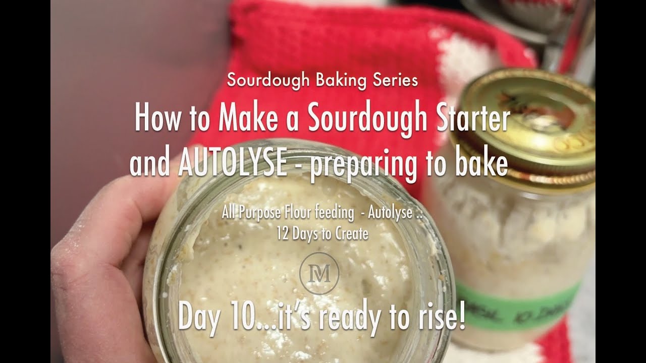 Day 10 (part 1)  -  How to Make a Strong Sourdough Starter   beginner friendly