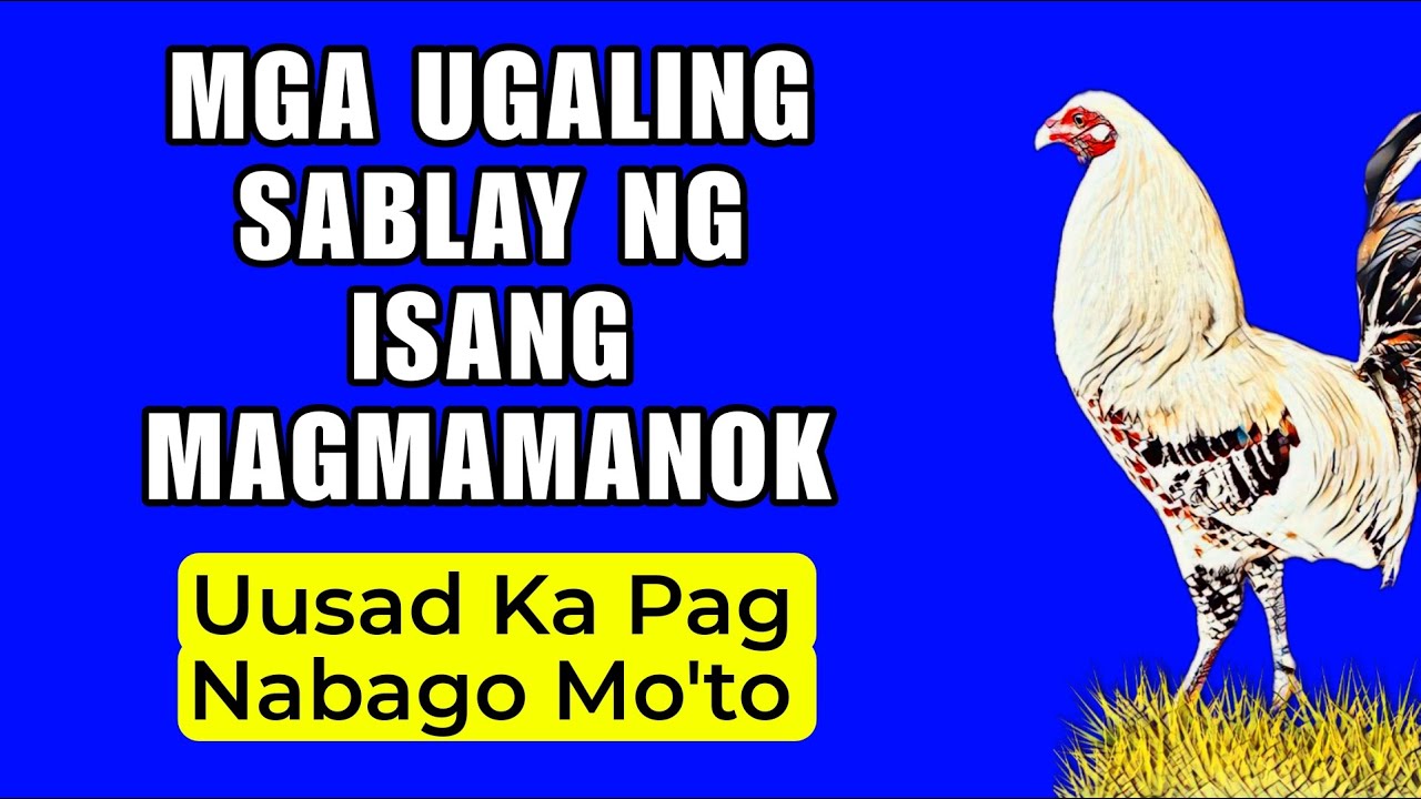 UGALING SABLAY NG MAGMAMANOK || BAKA ISA KA DITO
