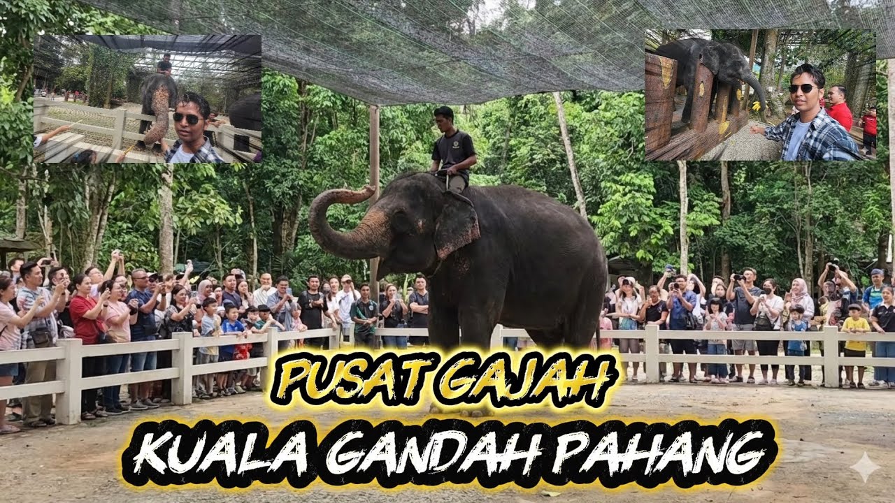 APA YANG BEST JALAN PUSAT GAJAH KUALA GANDAH PAHANG