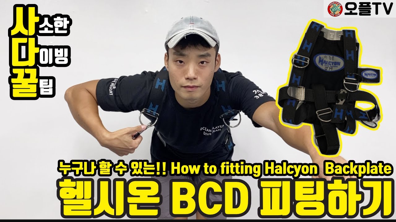 [테크니컬다이빙] 트림자세 연습 기초ㅣ헬시온 BCD 백플레이트 피팅하기