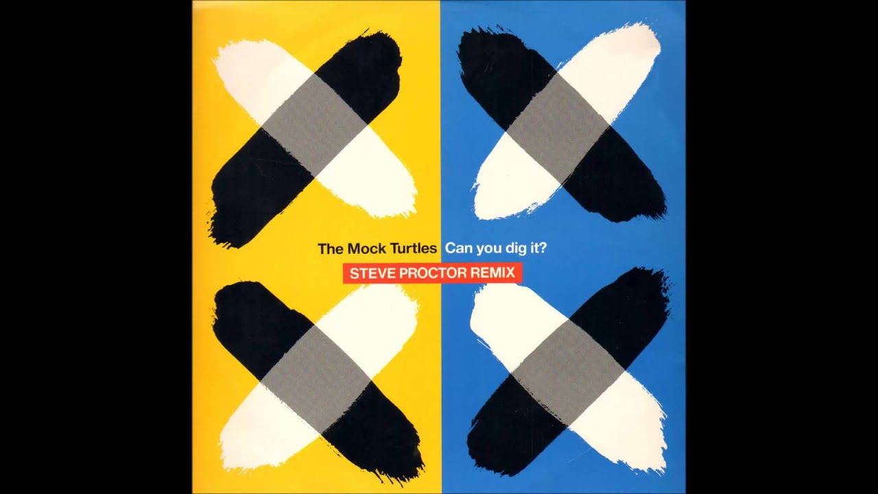 The Mock Turtles - Can you dig it? (Steve Proctor Remix)
