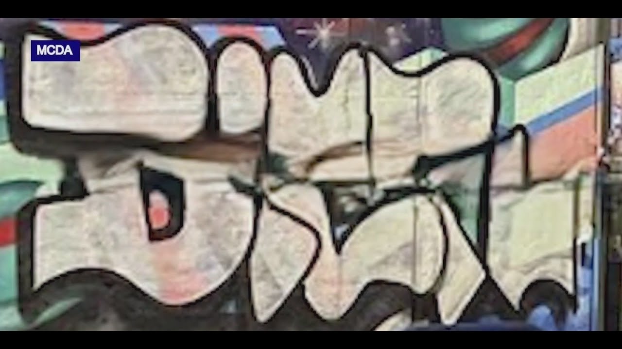 Portland graffiti tagger &lsquo;Bier&rsquo; found guilty on 51 charges after &lsquo;vindictive&rsquo; vandalism