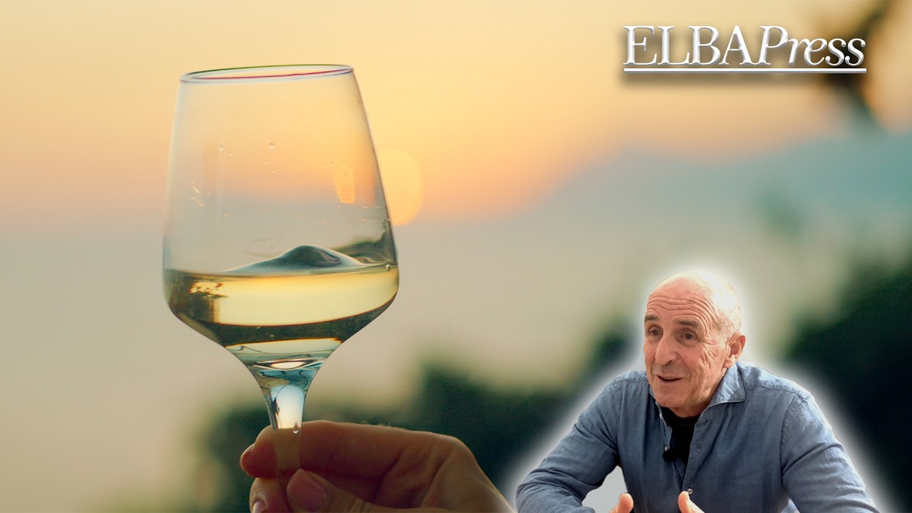 Arrighi presidente del Consorzio di Tutela Vini Elbani