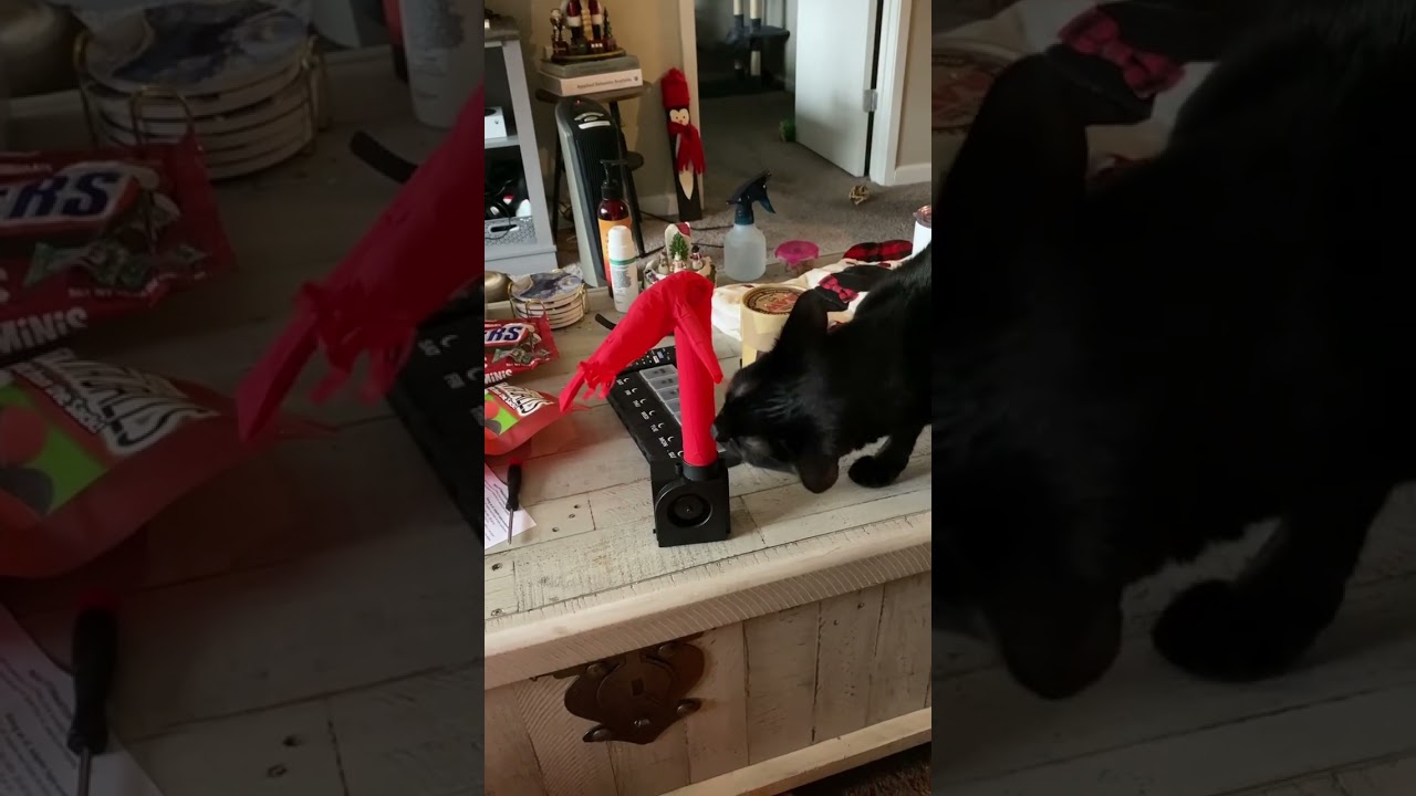 Worlds Smallest Wacky Waving Inflatable Tube Guy. #stitch #blackcats #stitch #rawcones #toys