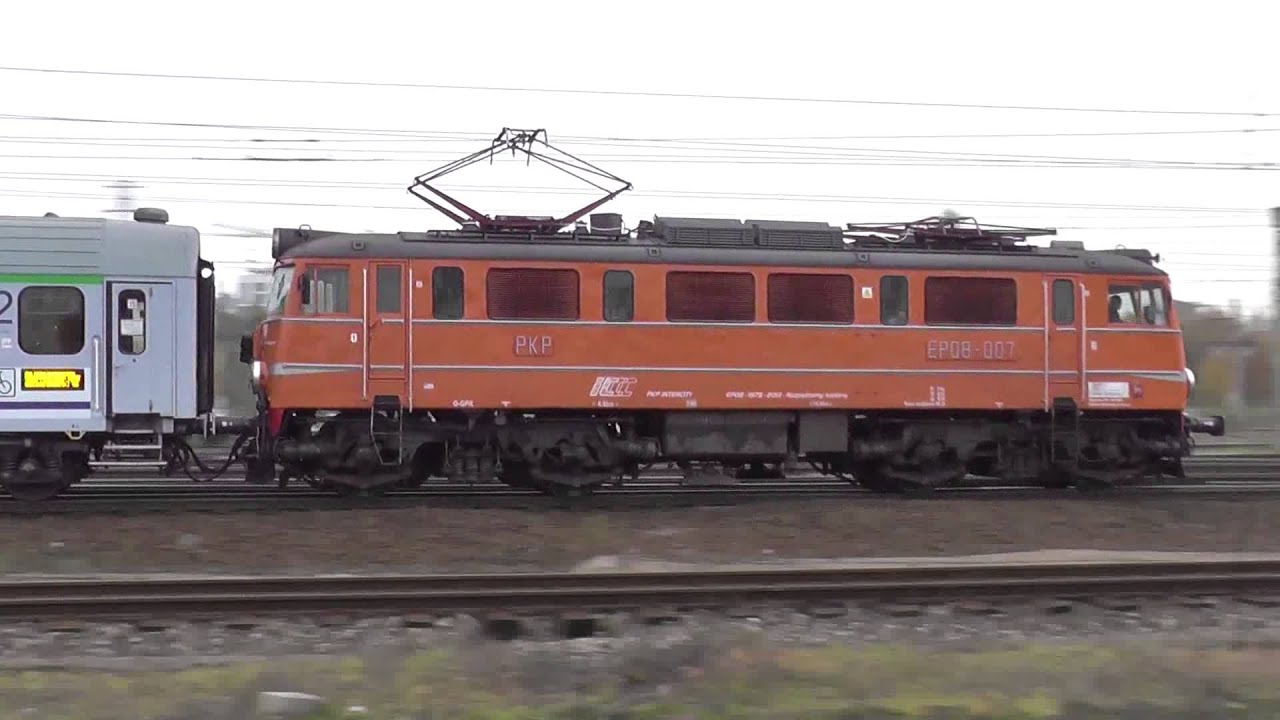 Budynie | Brytyjka | Czekolada | Papuga | Rodzynek | Świnia | Zielone Siódemki | Żółte Czoło