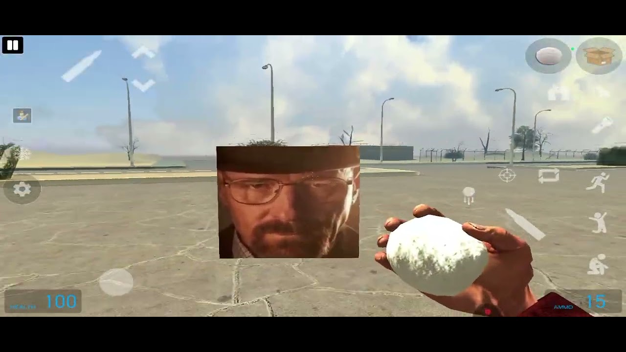 Mirrox mod:netxbot Walter: los pollos hermanos map