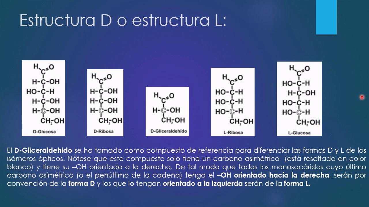 Carbohidratos: Estructuras D y L. Enanti&oacute;meros, Ep&iacute;meros, Diasterois&oacute;meros.