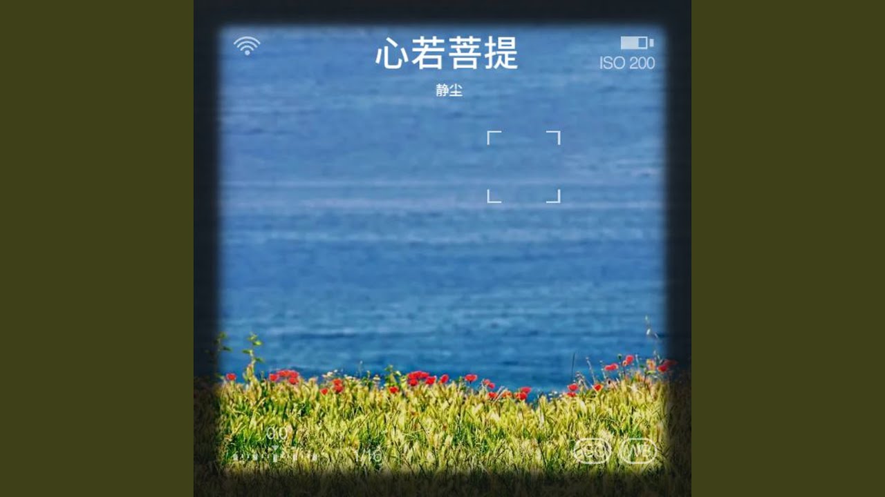 心若菩提