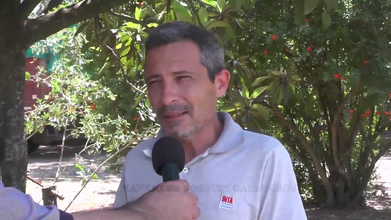 1483 B4 - MANEJO DE BOSQUES GANADEROS