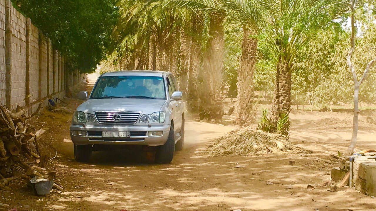 مزرعة بن شعيله عدن ( تصوير ادهم شعيله )